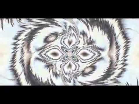 Camp Cult Collective Collection Visualizer