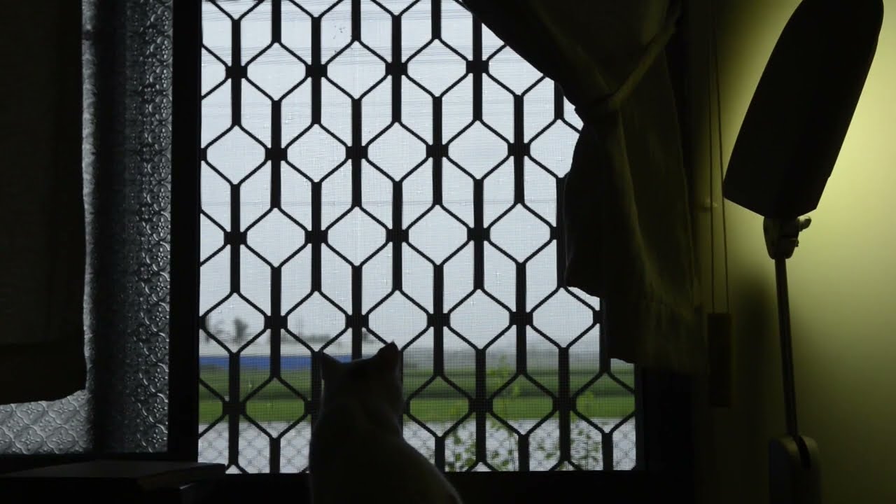 Still Life - TRAILER