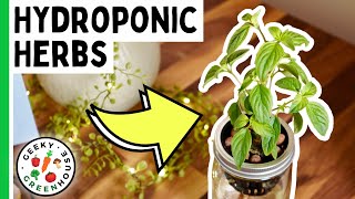 Thumbnail for video: Growing Herbs in Hydroponics (Using Ball Jars) - Geeky Greenhouse