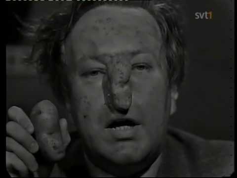 Mosevisionen - Potatis / Elbil