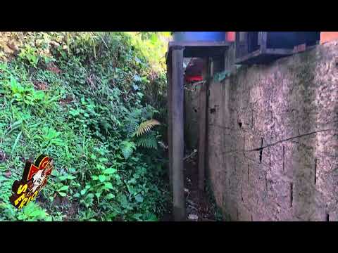 SECRETARIA DE SEGURANÇA DO GOVERNO WILHIANS SOARES PASSA VERGONHA COM OS GATOS DE ÁGUA E ENERGIA ELÉTRICA DO FAVELODROMO
