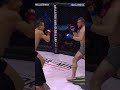 ?? The Flying Knee of Adam Borics