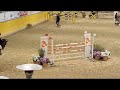Cavallo Belga del 2015 - Salto Ostacoli