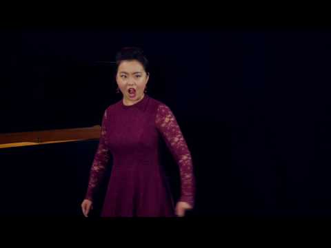 Volta la terrea, Verdi (Oscar's Aria)- He Wu Soprano