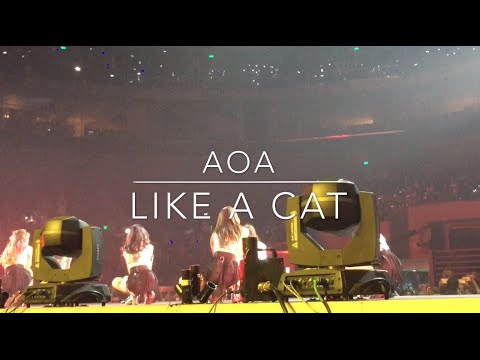 [FANCAM] 160903 AOA_Like A Cat @ MBC Show Champion in Manila
