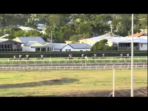 2014 Brisbane Cup