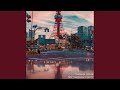 Trip Through Tokyo