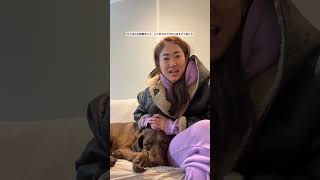 My goodest boi Beanie’s health update 1 | #dogshorts  #dogmom #cutedogs #labrador