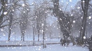年の瀬雑談