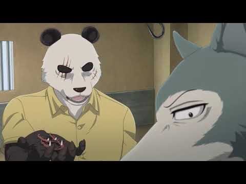 Beastars: Legosi Gets Dentures