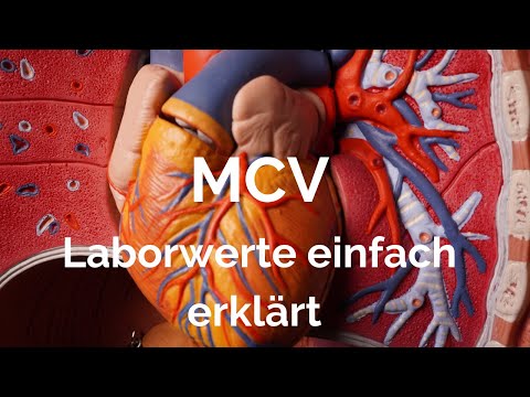 MCV, laboratory values ​​explained simply