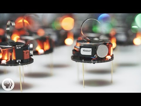 Can A Thousand Tiny Swarming Robots Outsmart Nature? | Deep Look