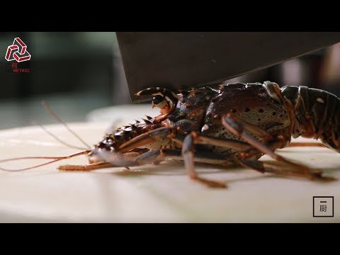 Golden Lobster by 5 Star Chef from Hong Kong | 粵菜與龍蝦對壘，最後贏家竟是饅頭 [ Geometric Image | 几何映像 ]