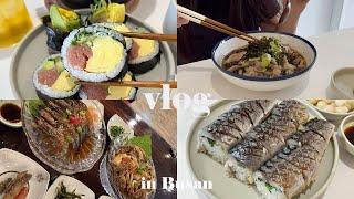【vlog】釜山で働く日本人の週末집순이vlog🏠