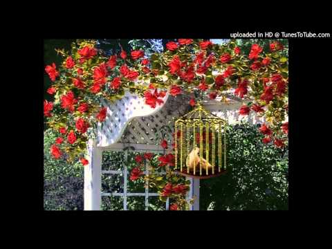 Today's Tango Is... Pájaro Ciego - Francisco Canaro 22-05-1940