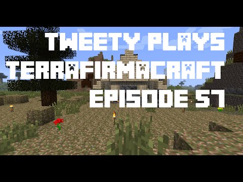 Tweety plays Terrafirmacraft ep 57 - Ravine Jumping