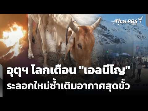 อุตุฯ โลกเตือน \เอลนีโญ\ ระลอกใหม่ซ้ำเติมอากาศสุดขั้ว | วันใหม่ ไทยพีบีเอส | 3 มิ.ย. 69