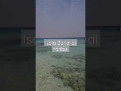 Isola Baridi Di Yanbu Tour | Oman Day Trip | Charan Jaimini