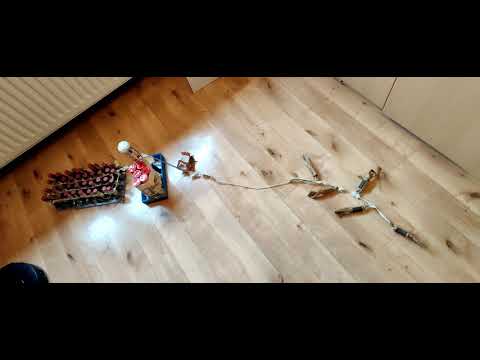 ANTI VUURWERK VERBOD - PROTEST #2