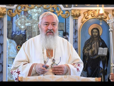 Cuvânt IPS Andrei - Orbirea sufletească - 27 ianuarie 2019