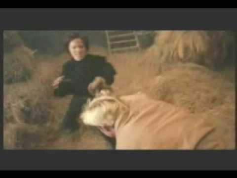 SHANNON LEE - ENTER THE EAGLES CLIP