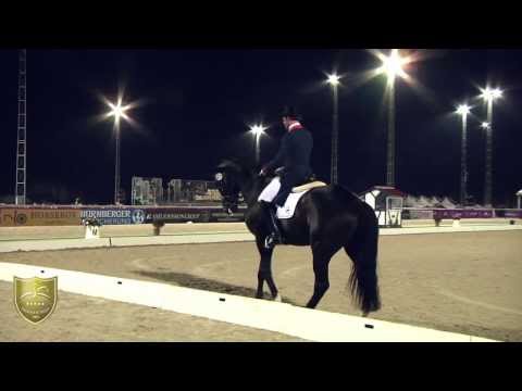 WDM Vidauban #8 in CDI 5* Nürnberger GP Laurens van Lieren & Ulysses la Haya