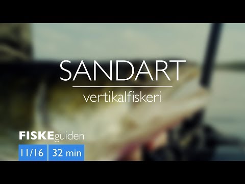 Sandartfiskeri med Gordon P. Henriksen