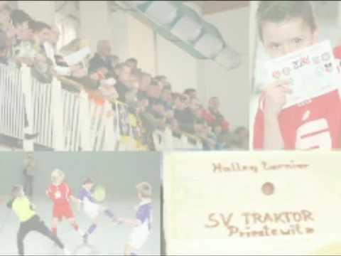 Hallenpokal 2010 für E-Junioren des SV Traktor Priestewitz am 21.02.2010