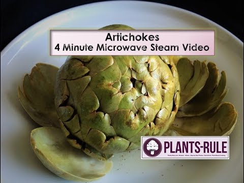 download lagu mp3 mp4 How To Cook An Artichoke In The Microwave, download lagu How To Cook An Artichoke In The Microwave gratis, unduh video klip How To Cook An Artichoke In The Microwave