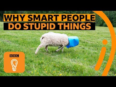 你常犯愚蠢的錯誤嗎？可能因為你其實很聰明！(Why smart people make stupid mistakes | BBC Ideas)