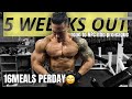 BACK TO GYM|5weeks out road to NPC ifbb proleague|16meals per day😩