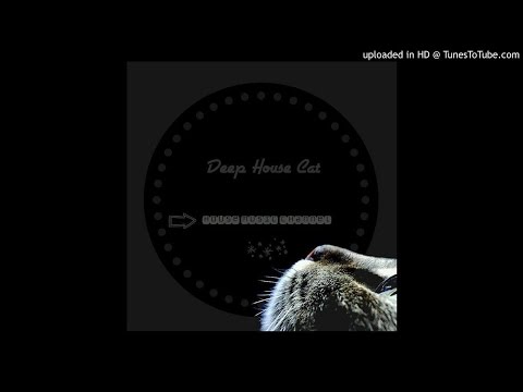 SNBRN X Shaun Frank X Dr. Fresch - The New Order