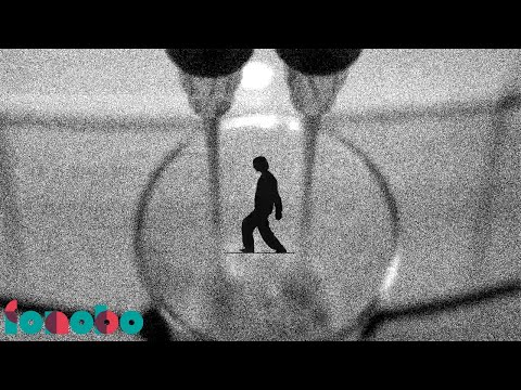 The Cassino - Czwarty / Spokój (Visualiser)