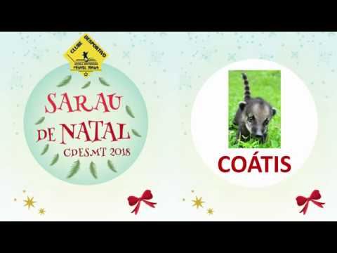 CDESMT - Sarau de Natal 2018 - Coátis