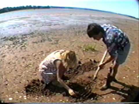 Digging Clams on the West River Prince Edward Island