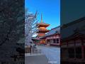 THE BEAUTY OF JAPAN Japan Edit Shorts Lofi Japan Trending Anushri Wings