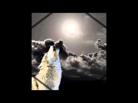 Rüyalarımda Kurt ve Ben