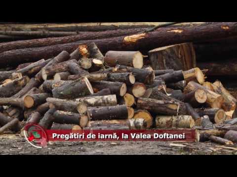 Emisiunea Proiecte pentru comunitate – 25 octombrie 2016 – Valea Doftanei