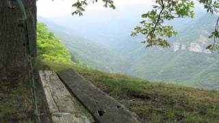 Bert Jansch - I Am Lonely (live '78).m4v