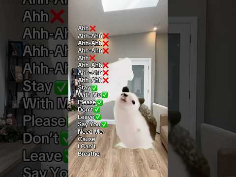 HEAVENLY JUMPSTYLE (Slowed) (Hedgehog Dance)