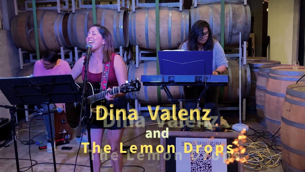 Promotional video thumbnail 3 for Dina Valenz