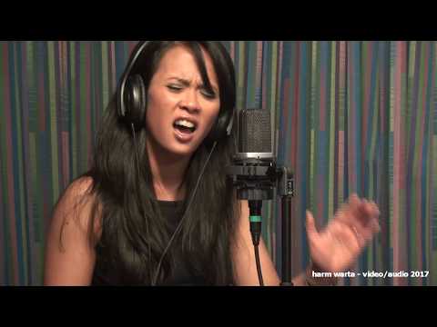 Tahera Saleh -  Human  (Rag'n' Bone Man cover, 2017)  04122017bb