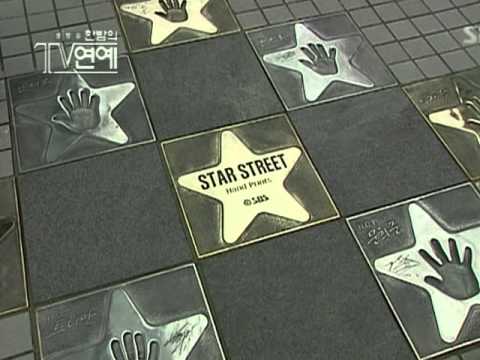 BoA - Star Street Handprinting Ceremony (29.04.04)