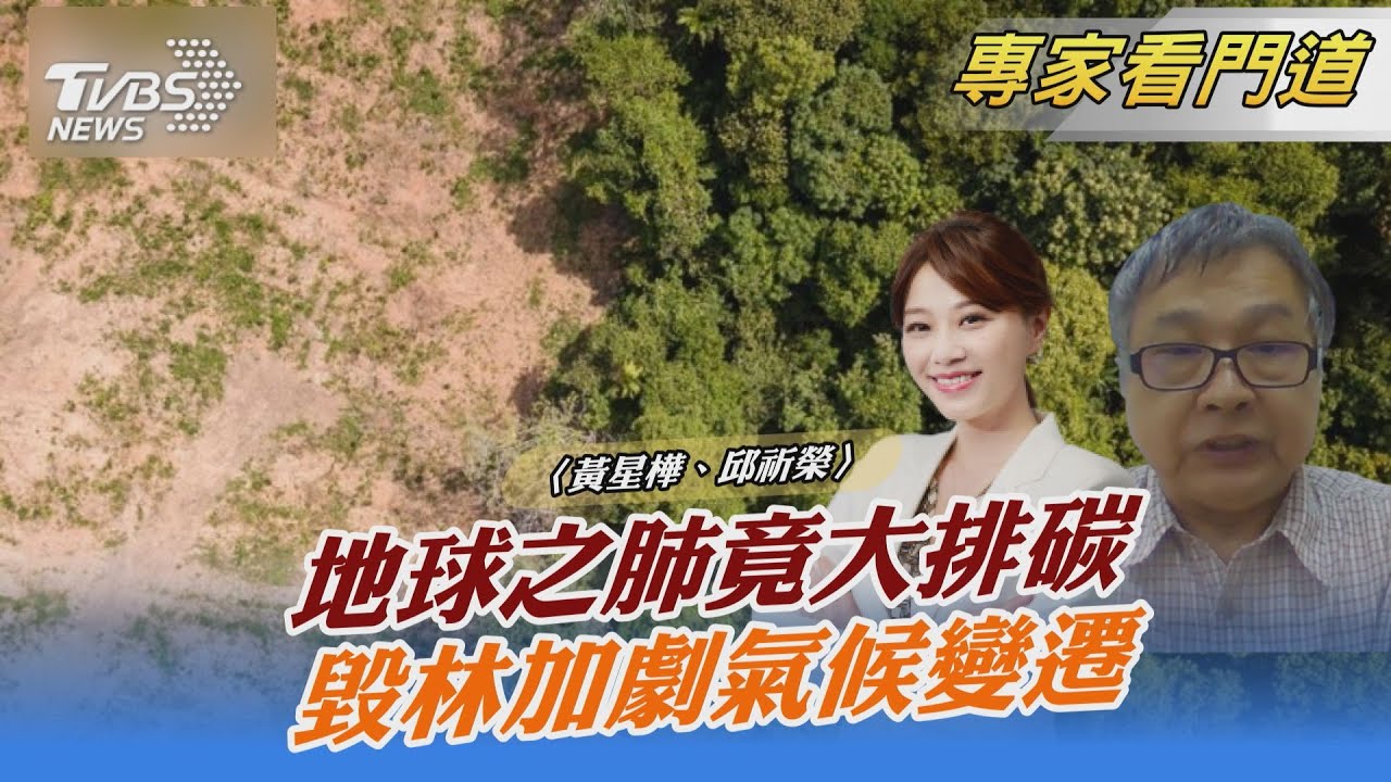 「地球之肺」排碳量竟高於吸碳! 氣候變遷與毀林間 不得不注意的悲鳴