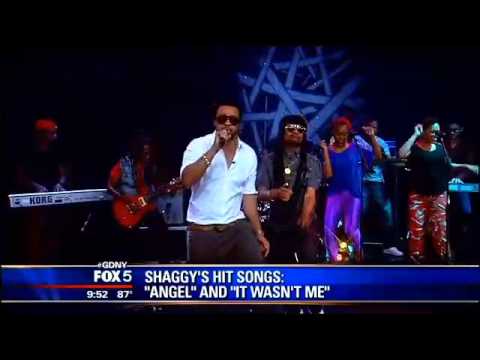 Shaggy Festuring Maxi Priest - Fight This Feelin' Live