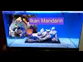 Ikan Hias Air Laut Mandarin Fish Berbahaya
