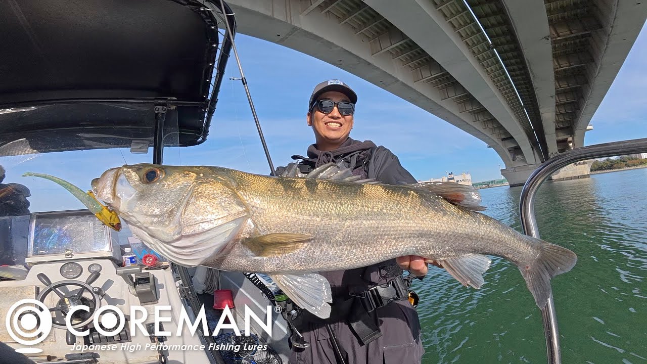 【トレンド】サッパ喰いシーバス攻略！コアマン IJ-22が効く理由！！in 博多湾