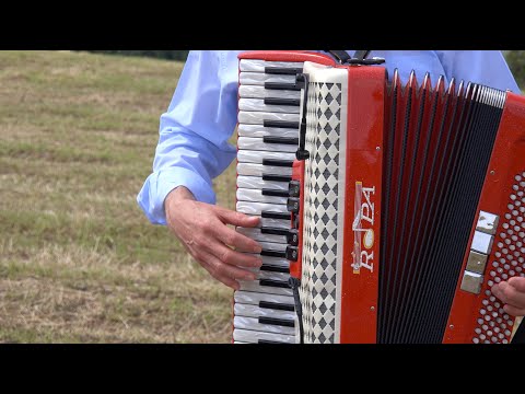 FISARMONICA | "DAI ROBERTO" (Valzer) Roberto Scaglioni @Musicainballo