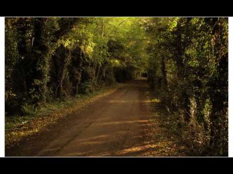 Hobbit Walking Song - The Road Goes Ever On