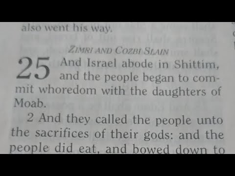 Numbers Ch25 ZIMRI & COZBI SLAIN📖Bible study join us Day5Challenge #FaithStructure